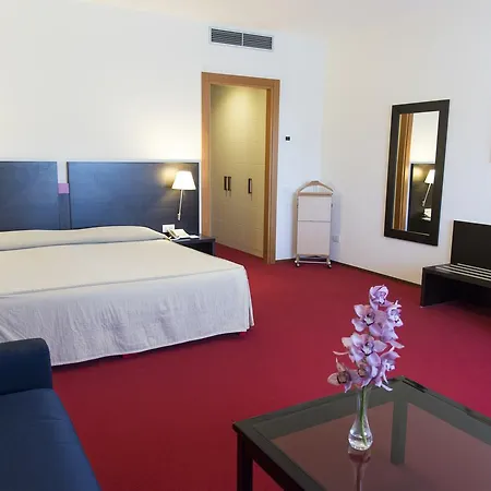 Park Centro Congressi 4* Potenza