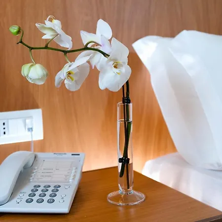Hotel Park Centro Congressi 4*