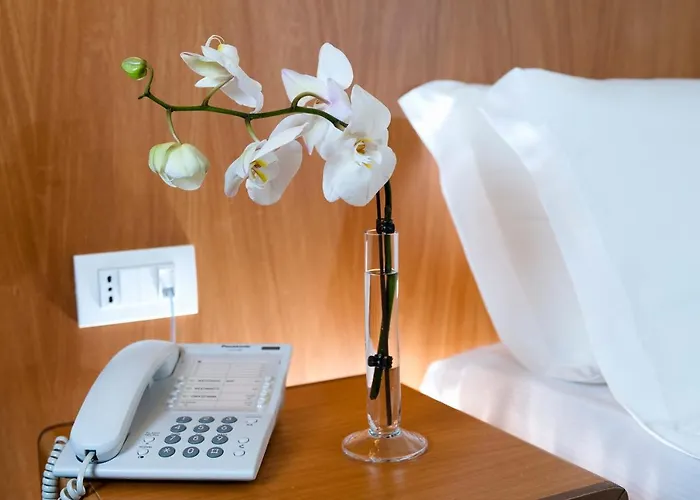 Hotel Park Centro Congressi 4*